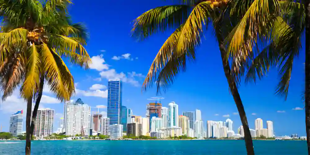 Image of Miami from beach